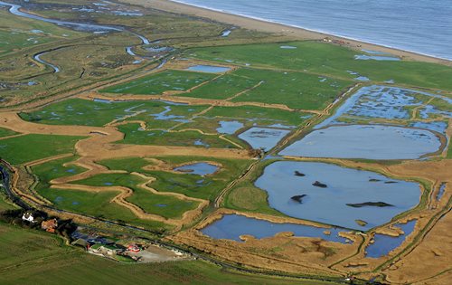 Cley Marshes Nature Reserve